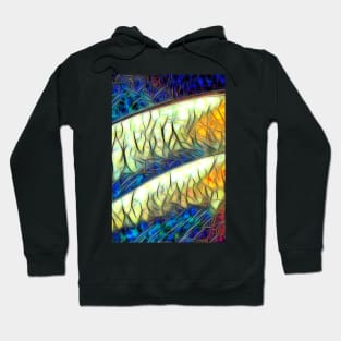 curved shapes in colourful stained glass window style Hoodie